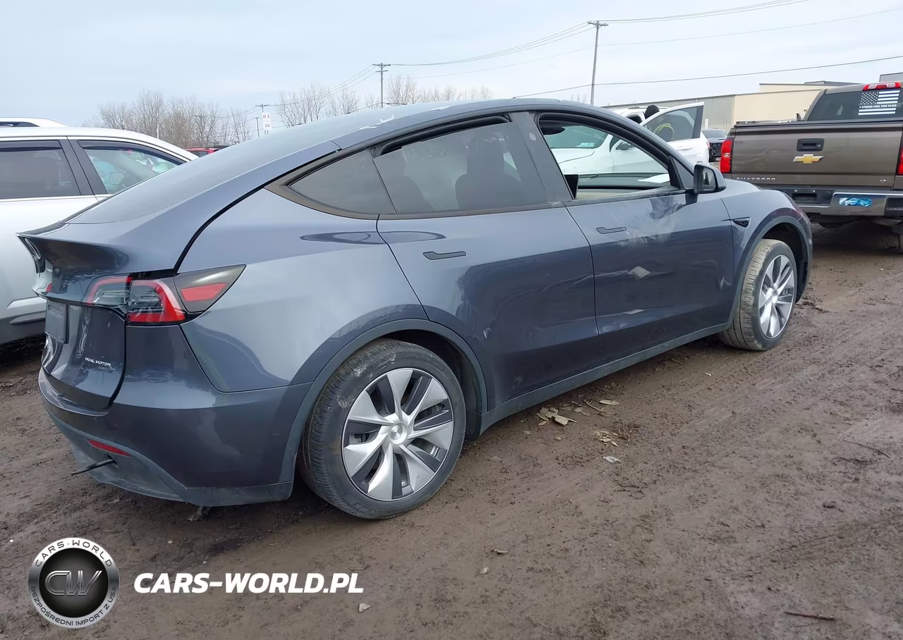 2023 Tesla Model Y Long Range VIN:7SAYGDEE1PA194785 - 4