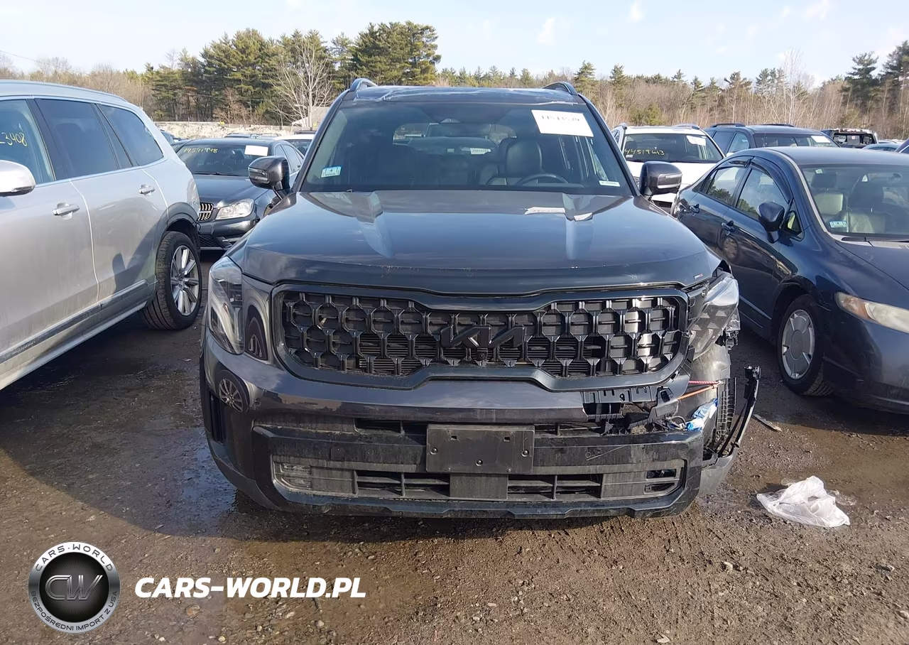 2025 Kia Telluride Sx X-Line VIN:5XYP5DGC4SG630320 - 12