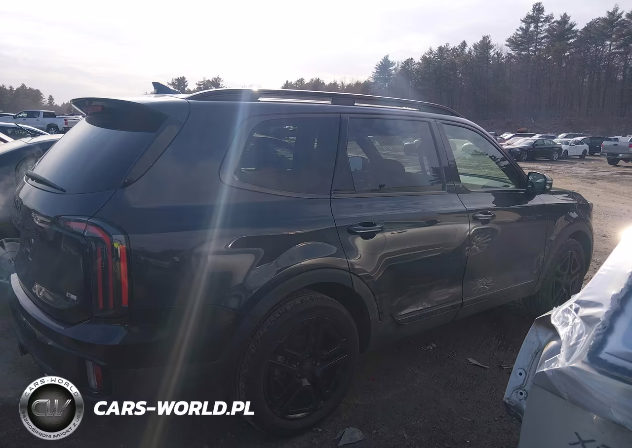 2025 Kia Telluride Sx X-Line VIN:5XYP5DGC4SG630320 - 13