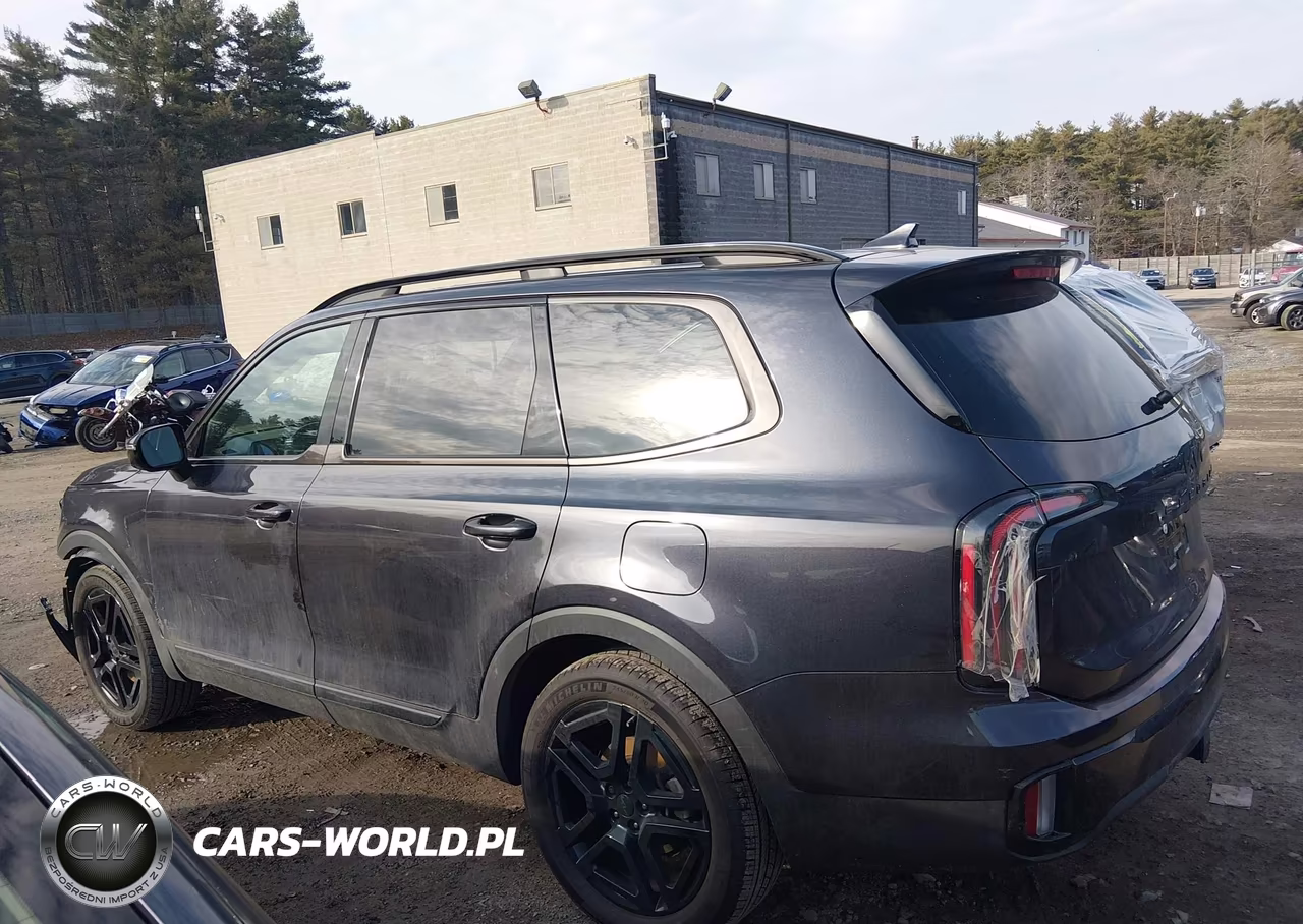 2025 Kia Telluride Sx X-Line VIN:5XYP5DGC4SG630320 - 14