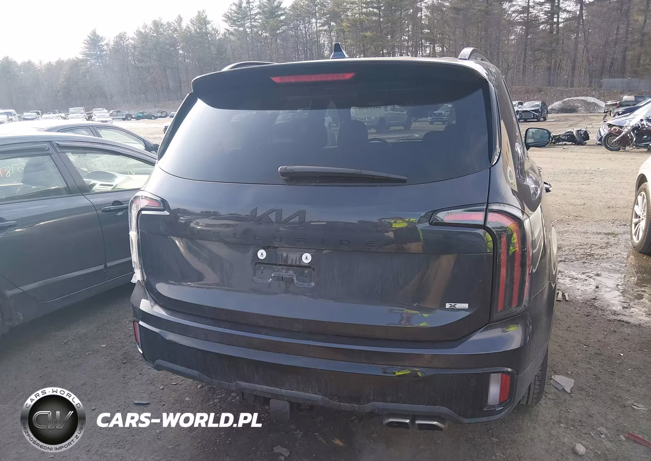 2025 Kia Telluride Sx X-Line VIN:5XYP5DGC4SG630320 - 16