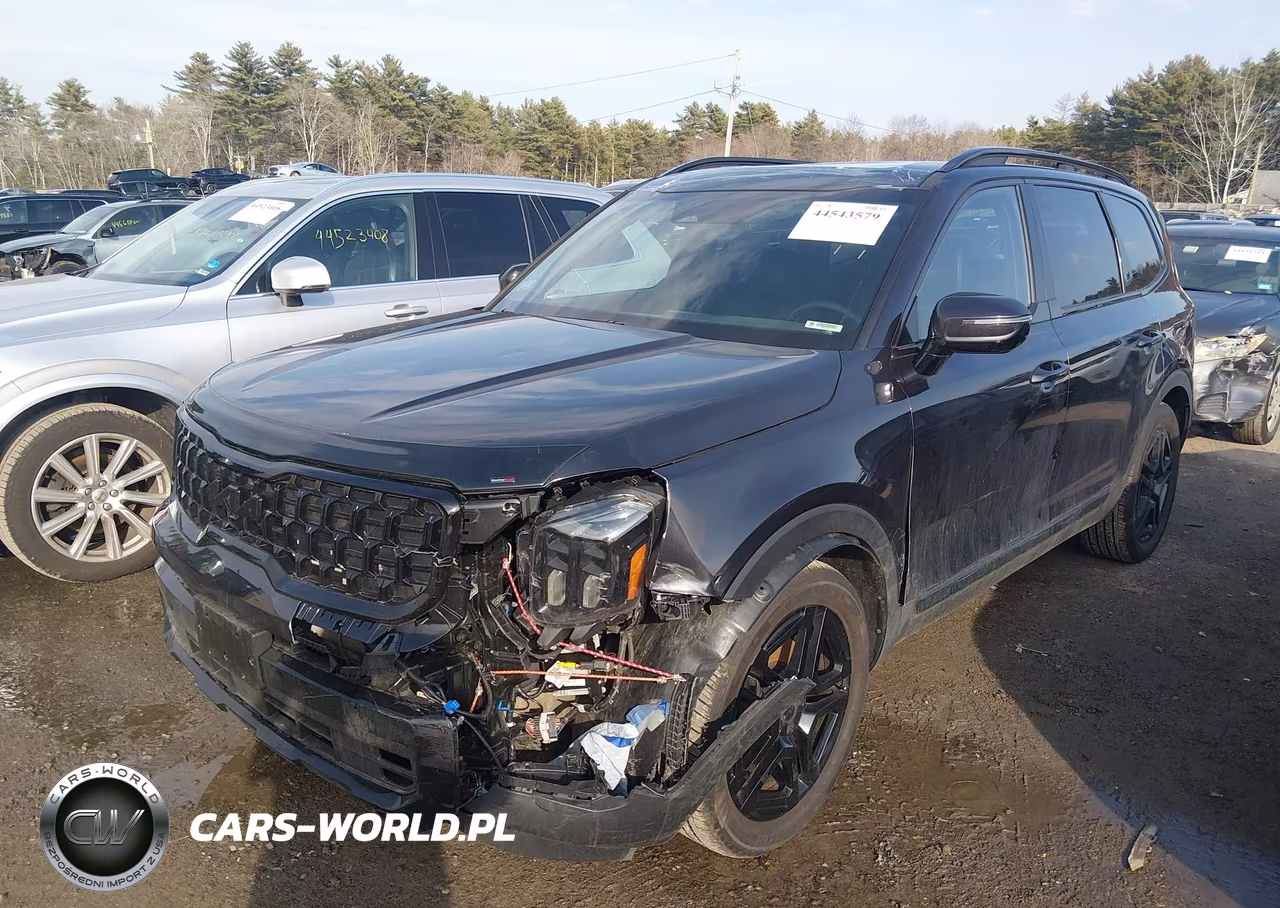 2025 Kia Telluride Sx X-Line VIN:5XYP5DGC4SG630320 - 2