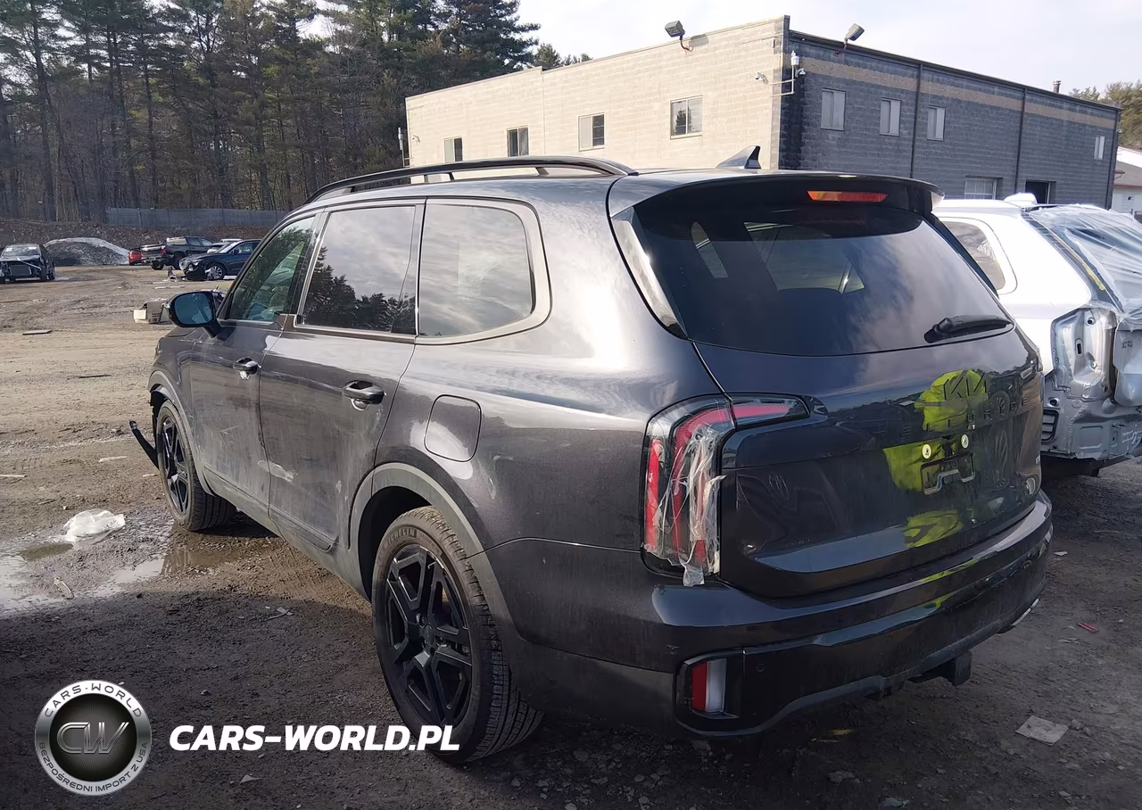 2025 Kia Telluride Sx X-Line VIN:5XYP5DGC4SG630320 - 3