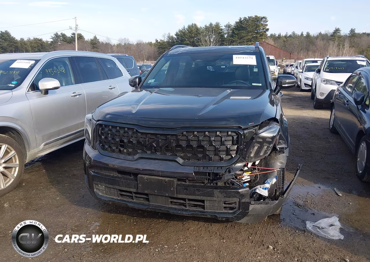 2025 Kia Telluride Sx X-Line VIN:5XYP5DGC4SG630320 - 6