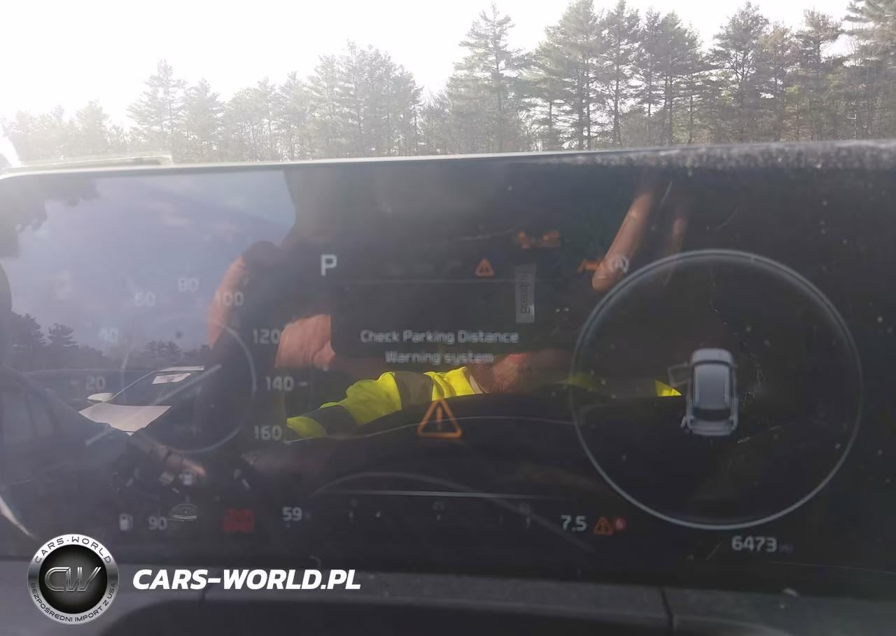 2025 Kia Telluride Sx X-Line VIN:5XYP5DGC4SG630320 - 7