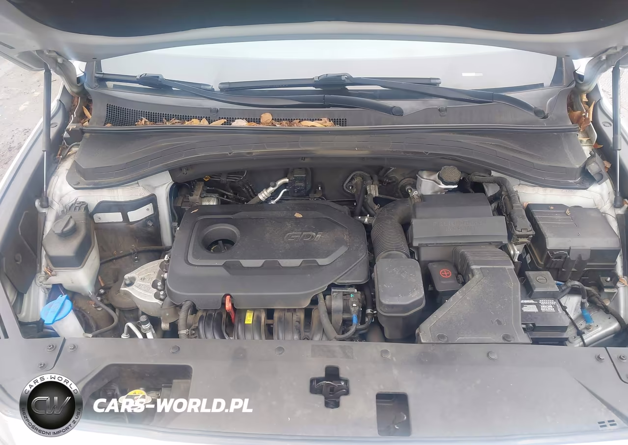 2019 Hyundai Santa Fe Se VIN:5NMS2CAD1KH095886 - 10