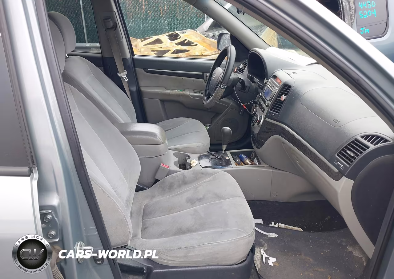 2009 Hyundai Santa Fe Gls VIN:5NMSG73D99H255741 - 5