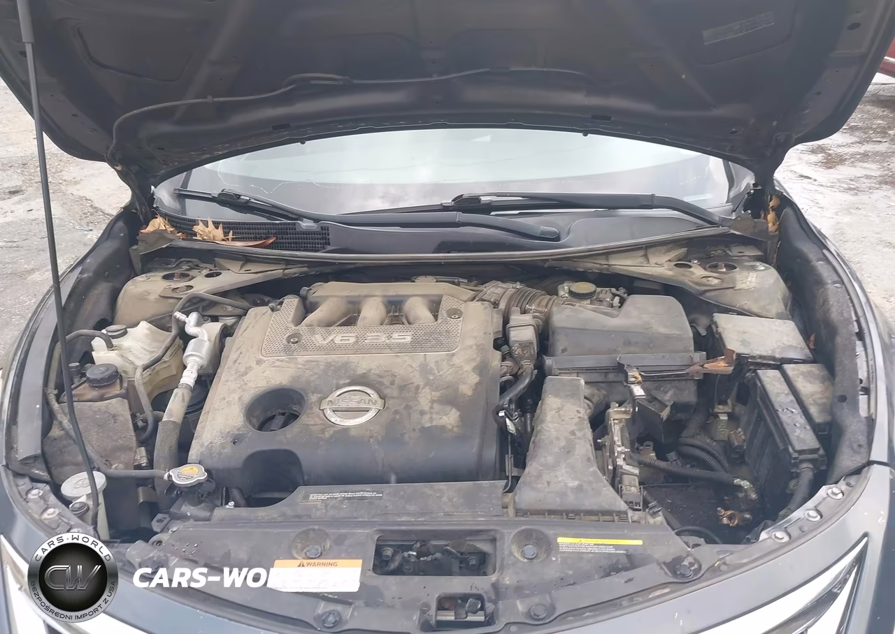 2013 Nissan Altima 3.5 Sv VIN:1N4BL3AP8DN442326 - 10