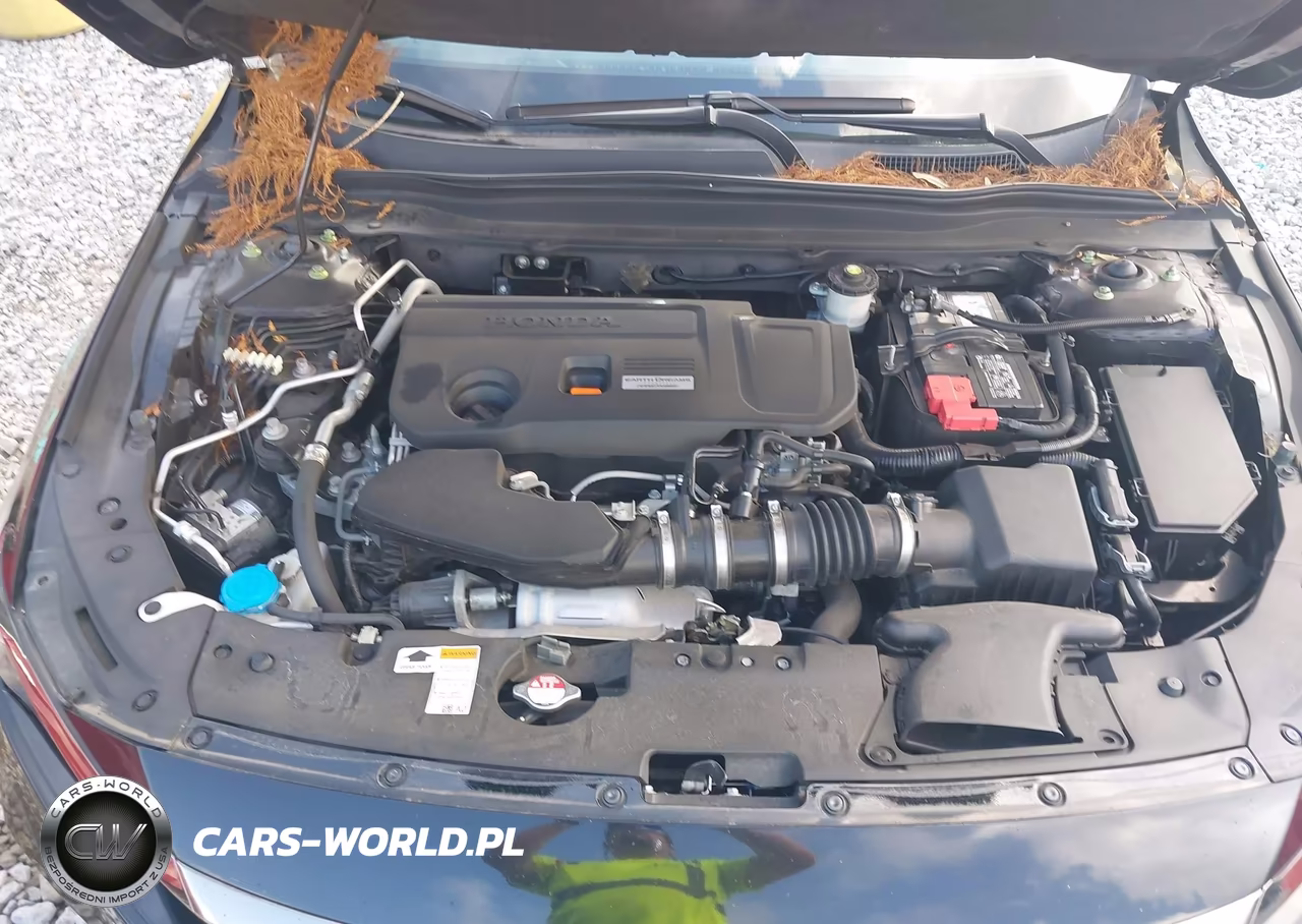 2019 Honda Accord Sport 2.0T VIN:1HGCV2F36KA014429 - 10