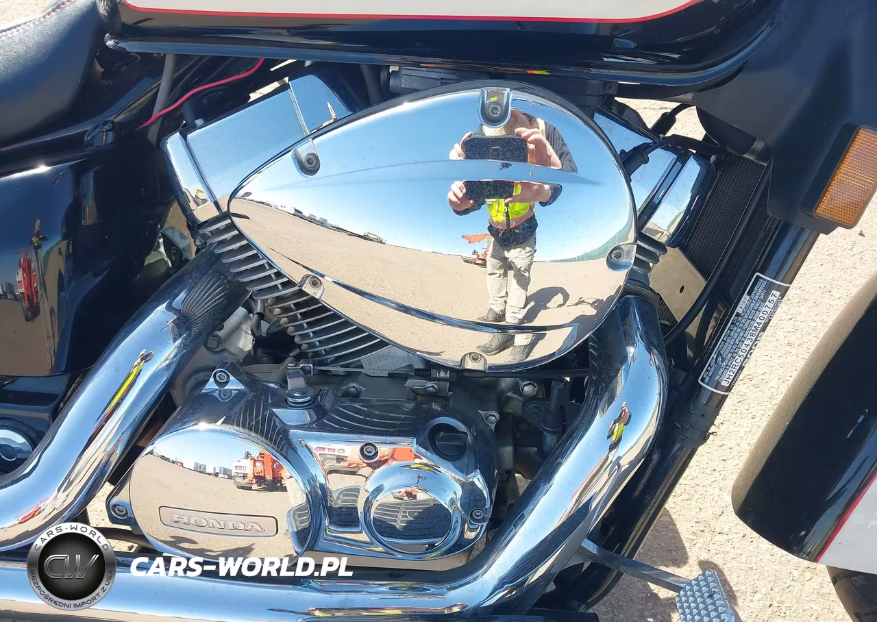 2008 Honda Vt750 Ca VIN:JH2RC50438M400757 - 8