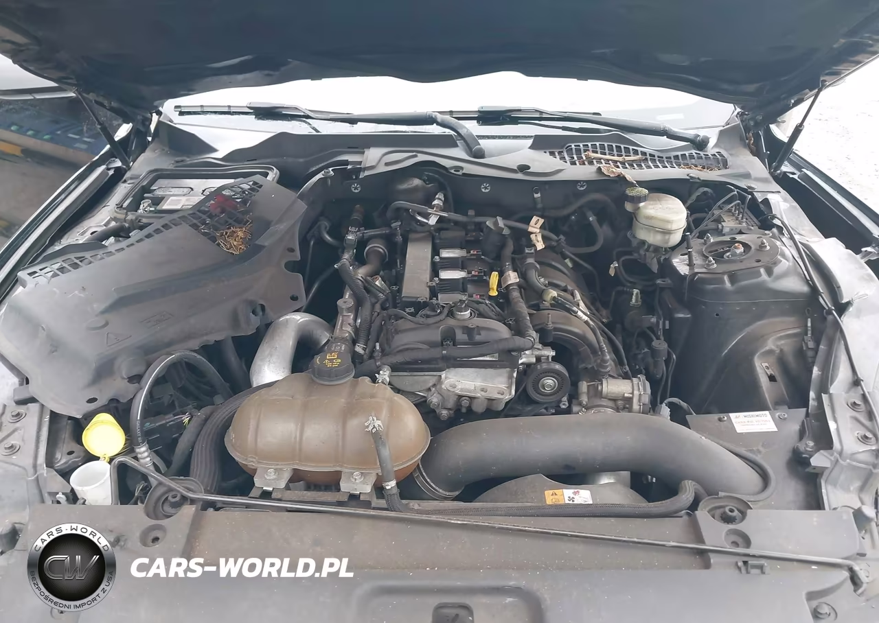 2015 Ford Mustang Ecoboost VIN:1FA6P8TH3F5302776 - 10