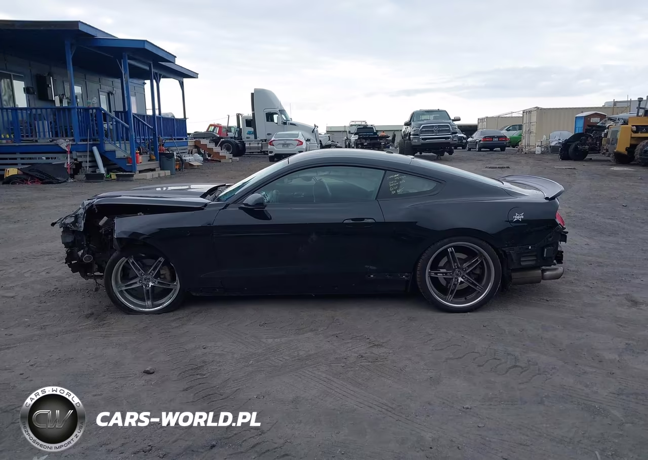 2015 Ford Mustang Ecoboost VIN:1FA6P8TH3F5302776 - 15