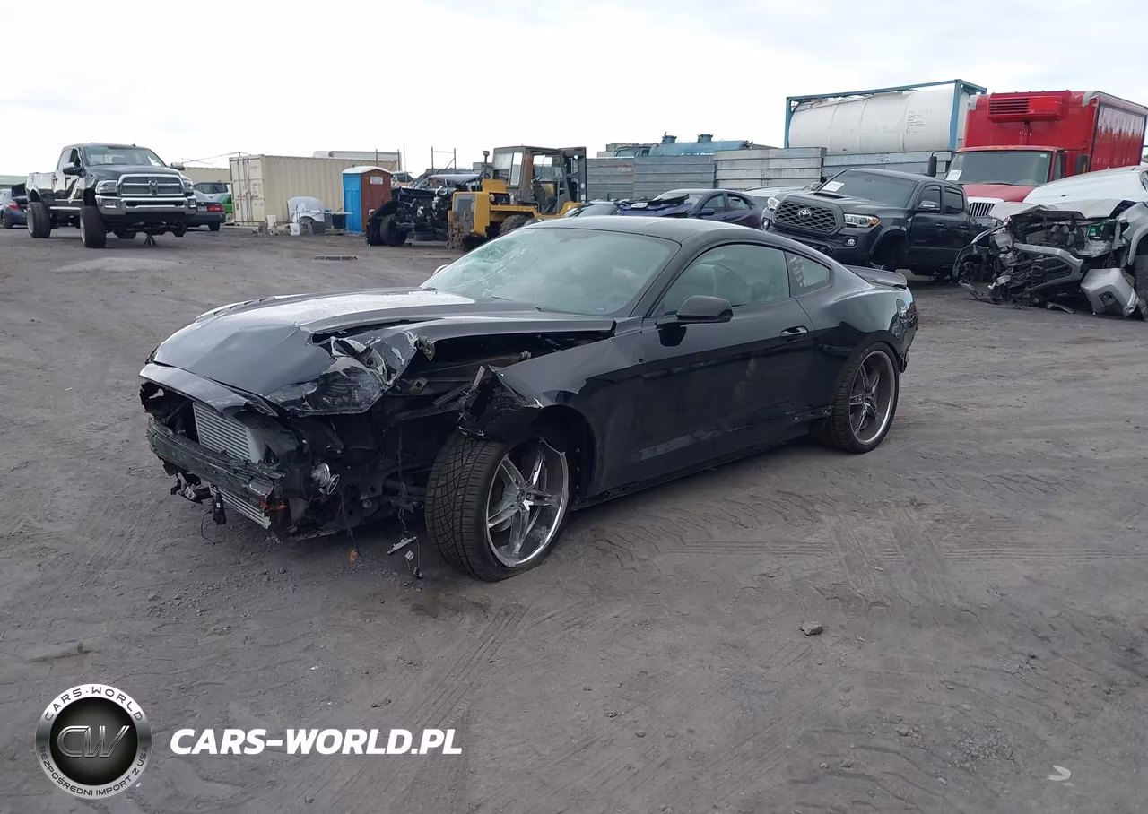 2015 Ford Mustang Ecoboost VIN:1FA6P8TH3F5302776 - 2