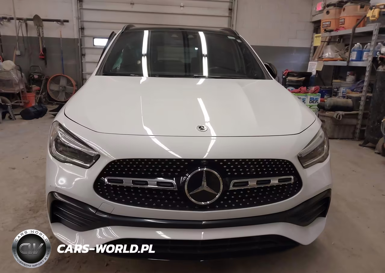 2021 Mercedes-Benz Gla 250 VIN:W1N4N4GB7MJ169958 - 12