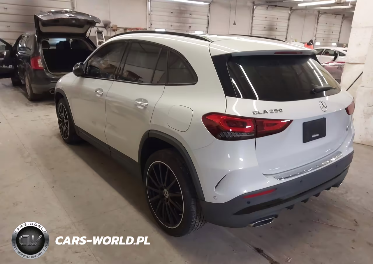 2021 Mercedes-Benz Gla 250 VIN:W1N4N4GB7MJ169958 - 3