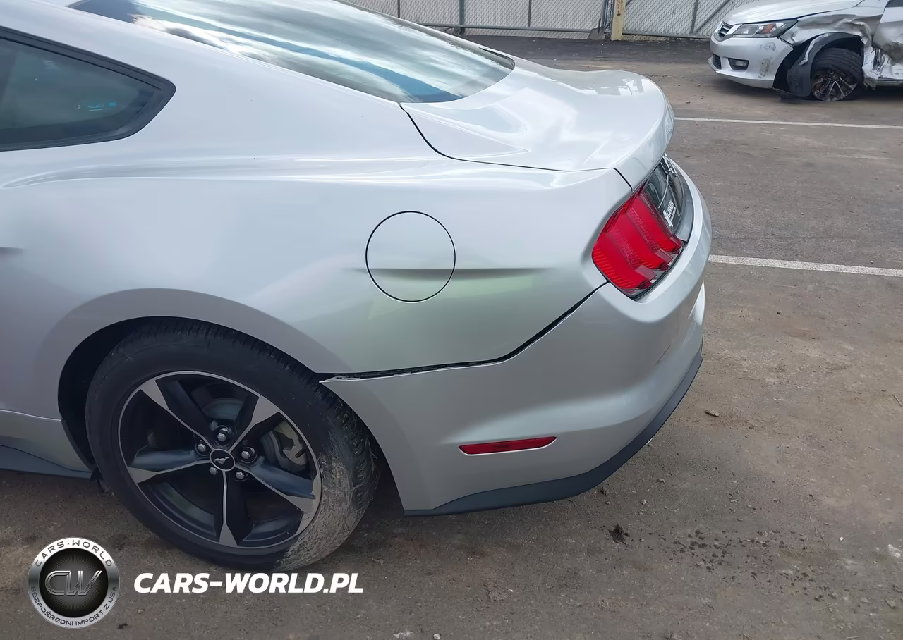 2018 Ford Mustang Ecoboost VIN:1FA6P8TH6J5118618 - 19