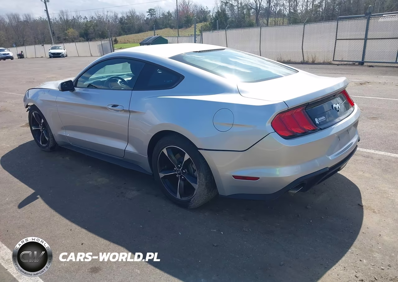 2018 Ford Mustang Ecoboost VIN:1FA6P8TH6J5118618 - 3