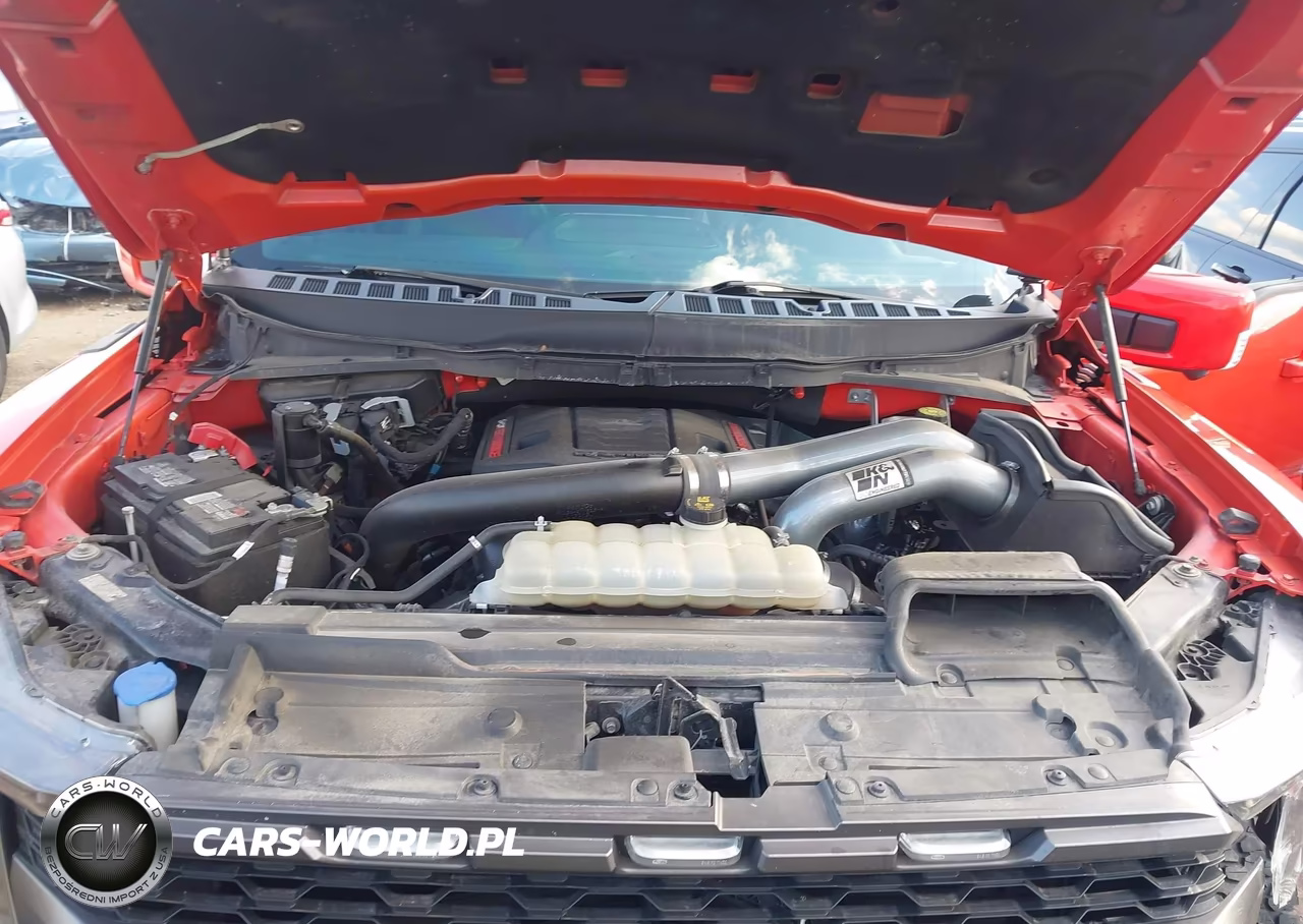 2021 Ford F-150 Raptor VIN:1FTFW1RG7MFC25596 - 10