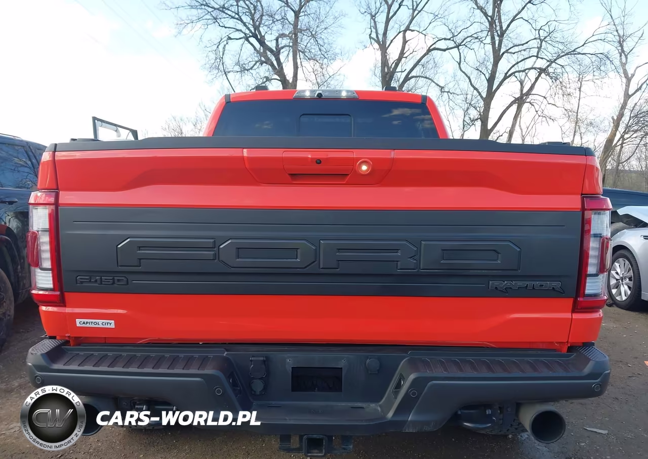 2021 Ford F-150 Raptor VIN:1FTFW1RG7MFC25596 - 16
