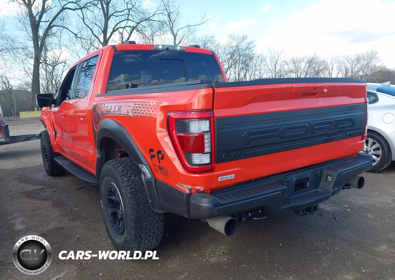2021 Ford F-150 Raptor VIN:1FTFW1RG7MFC25596 - 3