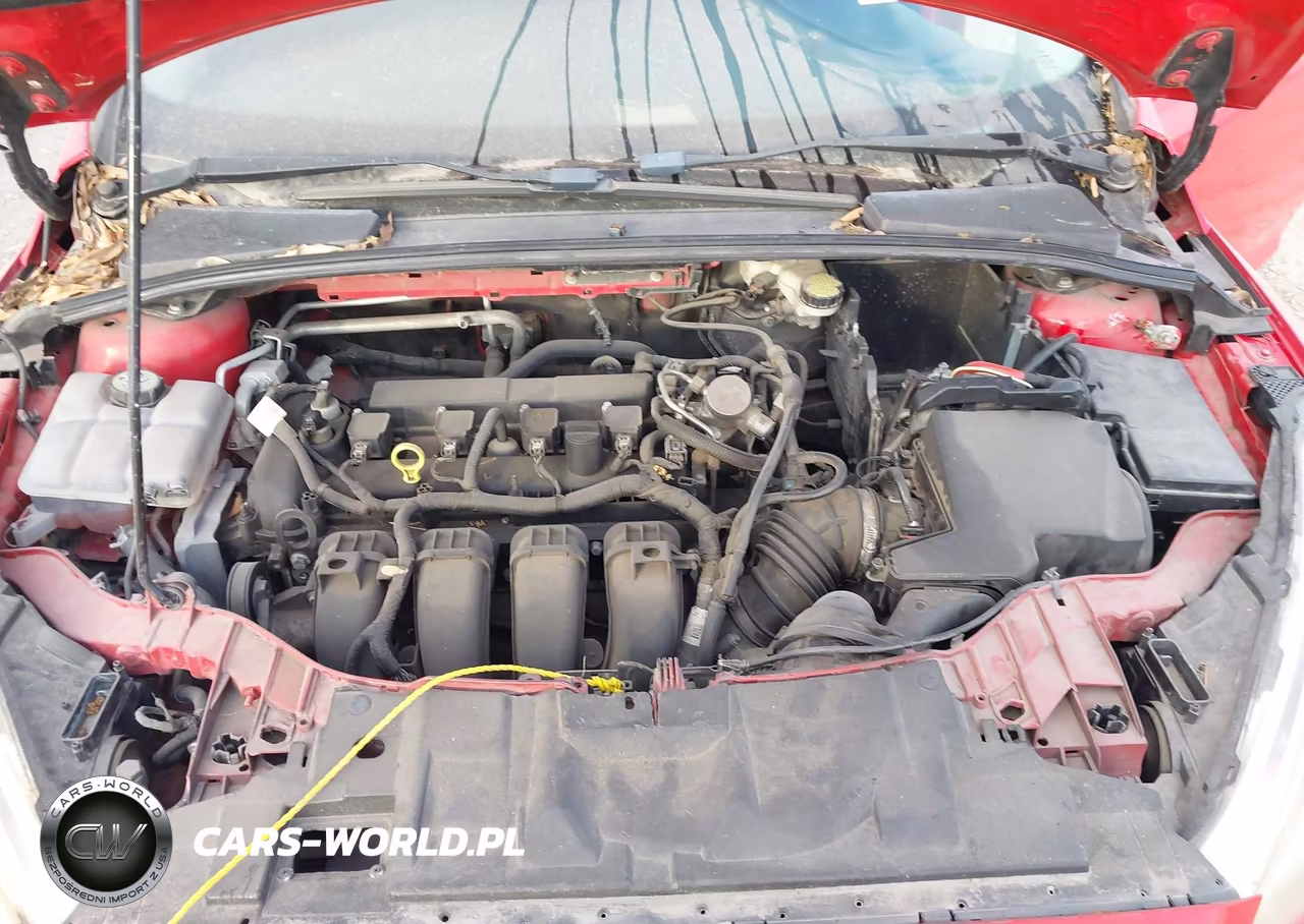 2016 Ford Focus Se VIN:1FADP3F25GL301322 - 10