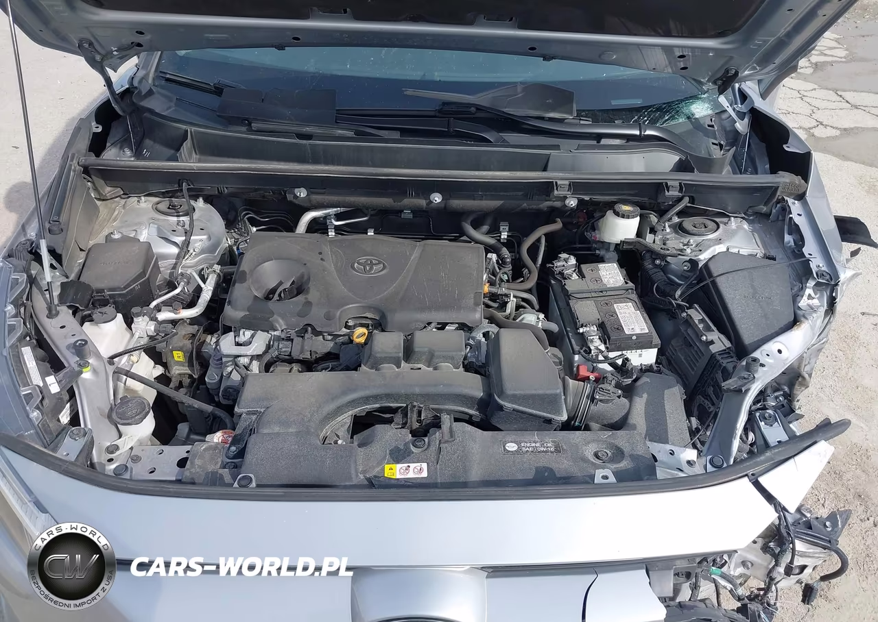 2023 Toyota Rav4 Xle VIN:2T3P1RFV8PC336375 - 10