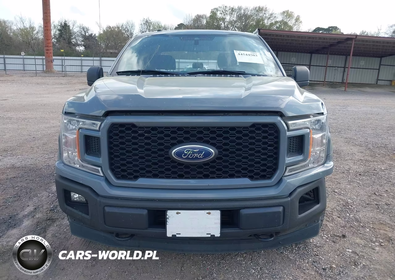 2019 Ford F-150 Xl VIN:1FTEW1EP2KKD22131 - 12