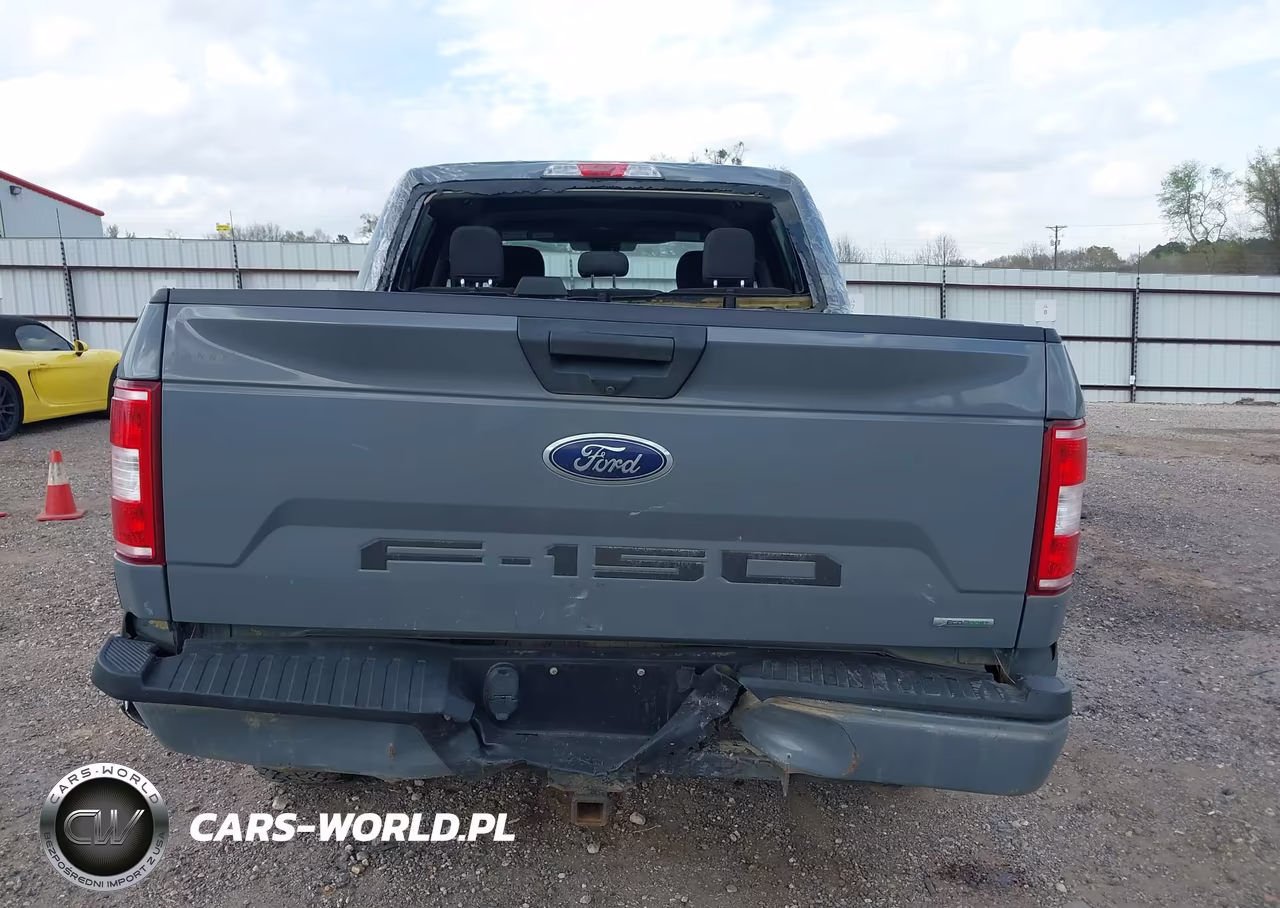 2019 Ford F-150 Xl VIN:1FTEW1EP2KKD22131 - 16