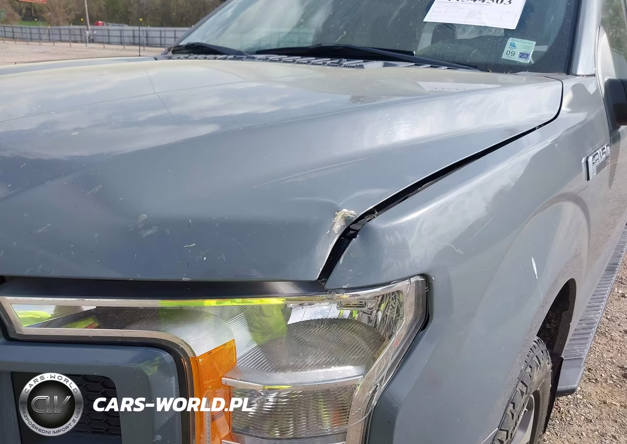 2019 Ford F-150 Xl VIN:1FTEW1EP2KKD22131 - 17