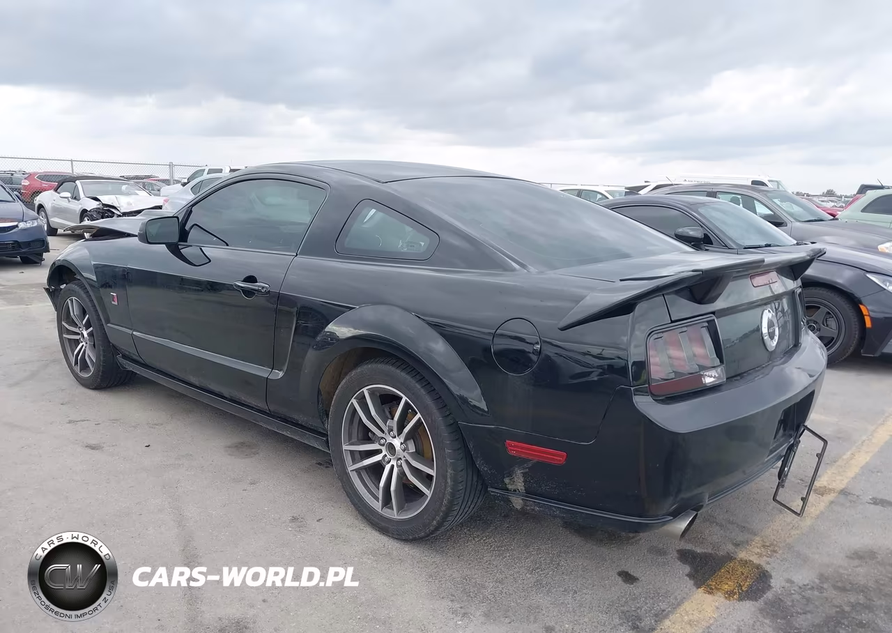 2007 Ford Mustang Gt Deluxe-Gt Premium VIN:1ZVFT82H375330860 - 3