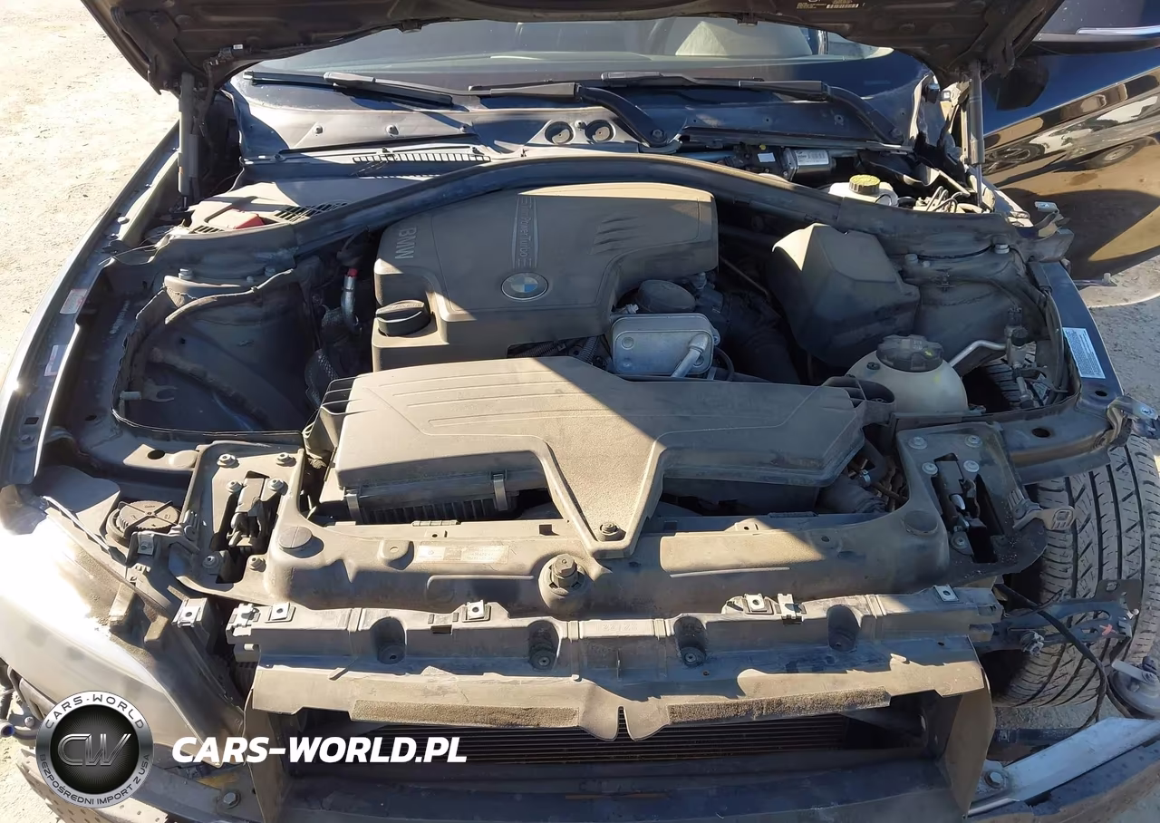 2014 BMW 228I VIN:WBA1F5C56EVW97981 - 10
