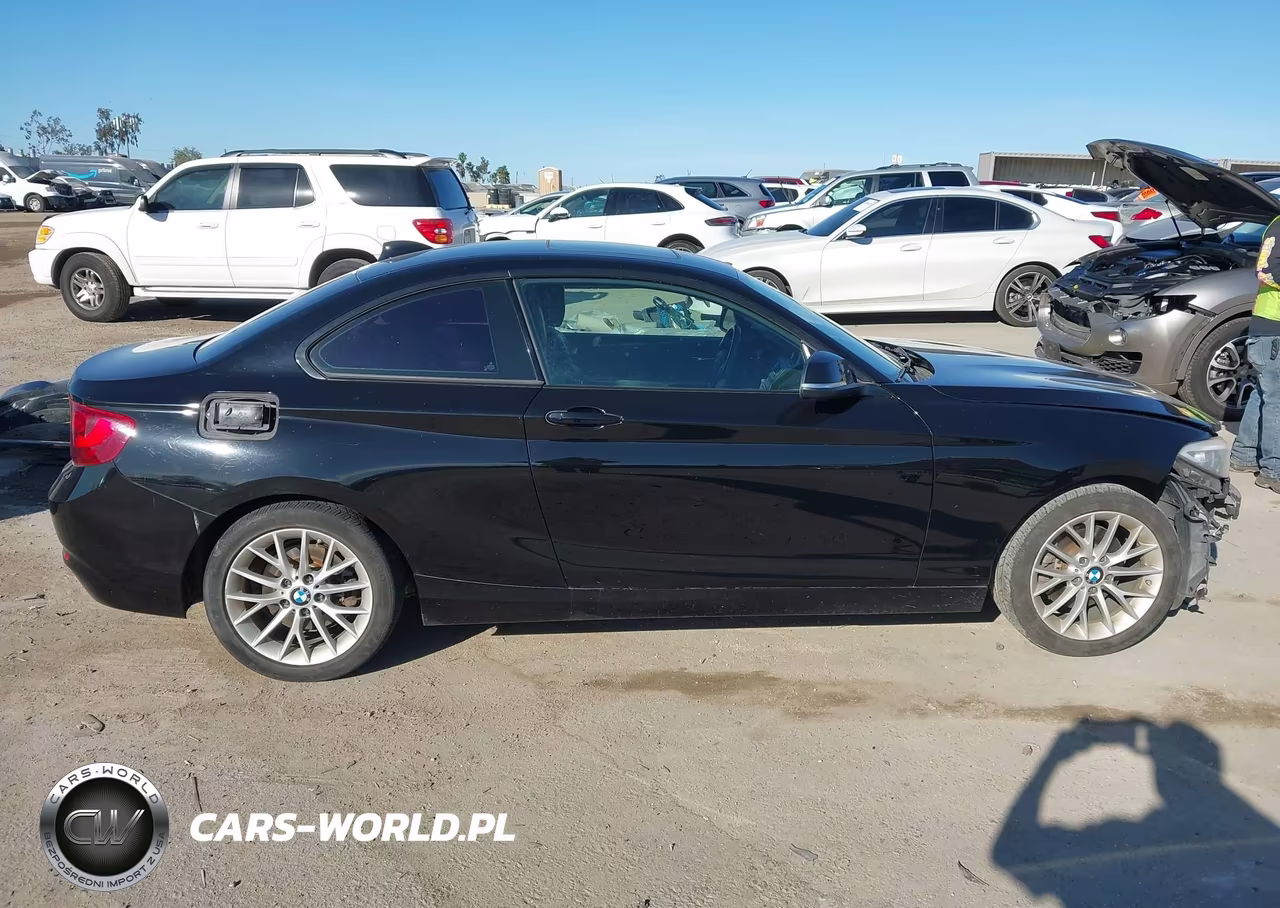 2014 BMW 228I VIN:WBA1F5C56EVW97981 - 14