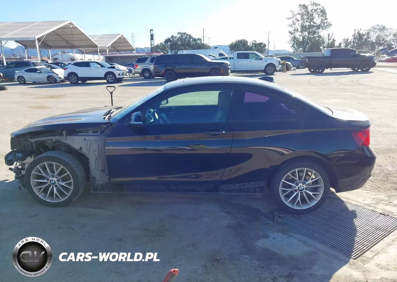 2014 BMW 228I VIN:WBA1F5C56EVW97981 - 15