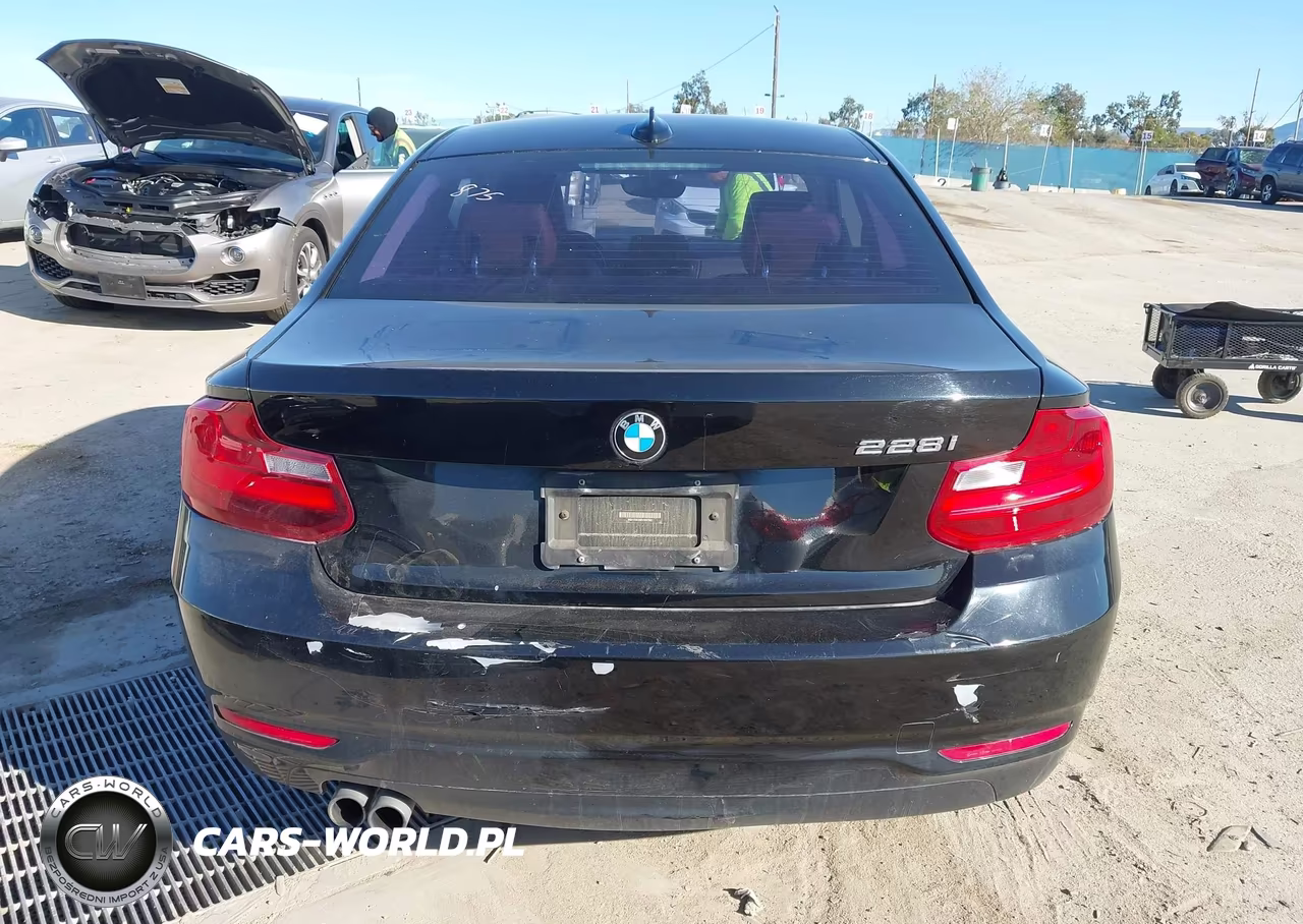 2014 BMW 228I VIN:WBA1F5C56EVW97981 - 17