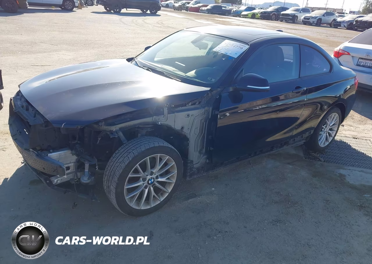 2014 BMW 228I VIN:WBA1F5C56EVW97981 - 2