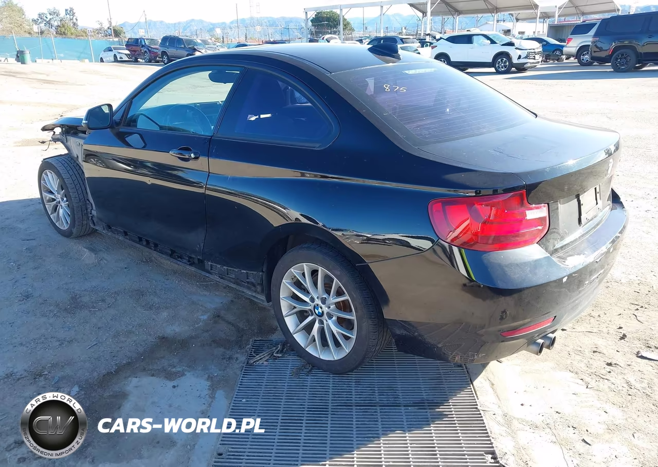 2014 BMW 228I VIN:WBA1F5C56EVW97981 - 3