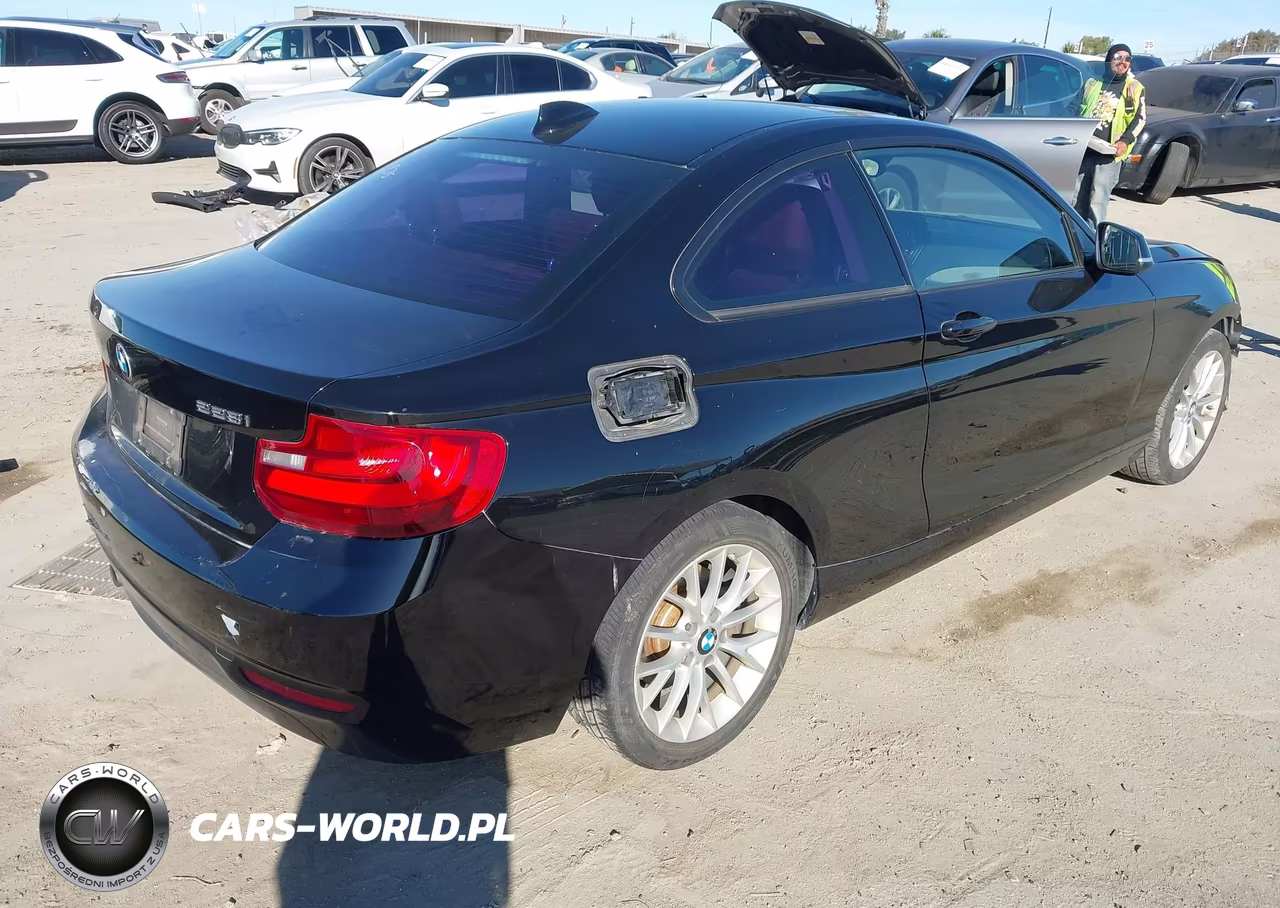 2014 BMW 228I VIN:WBA1F5C56EVW97981 - 4