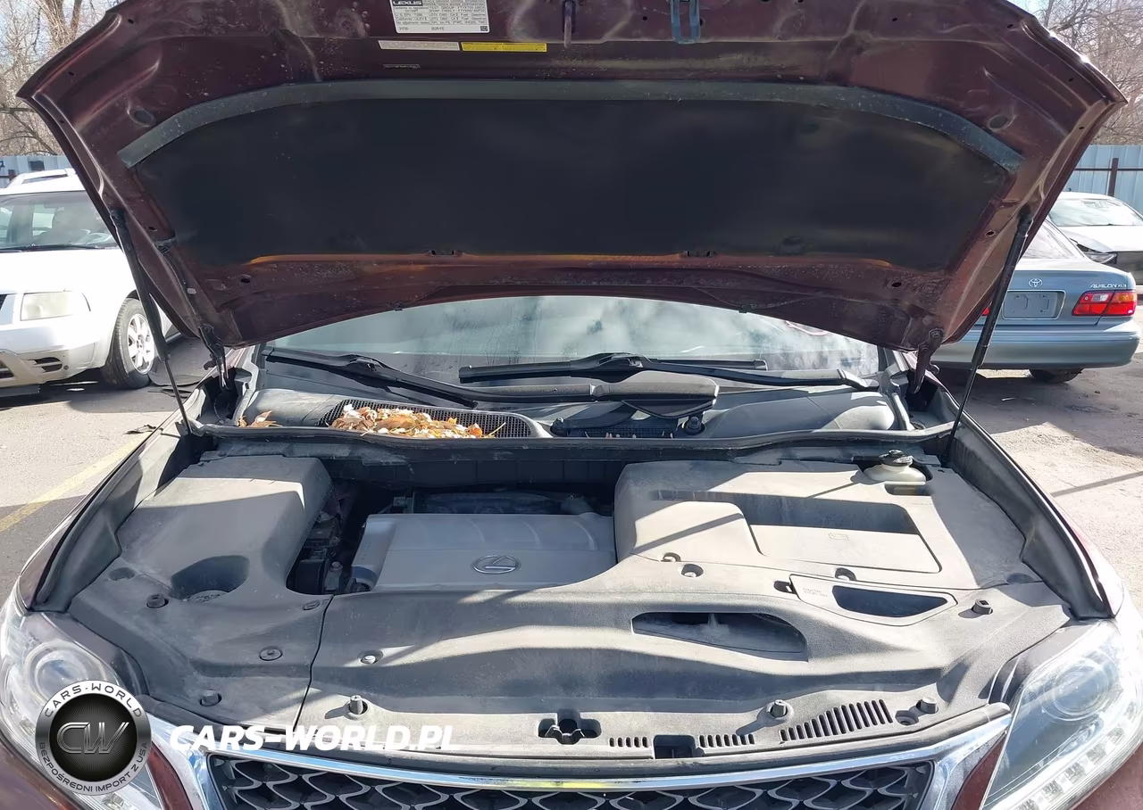 2015 Lexus Rx 350 F Sport VIN:2T2BK1BA8FC295874 - 10