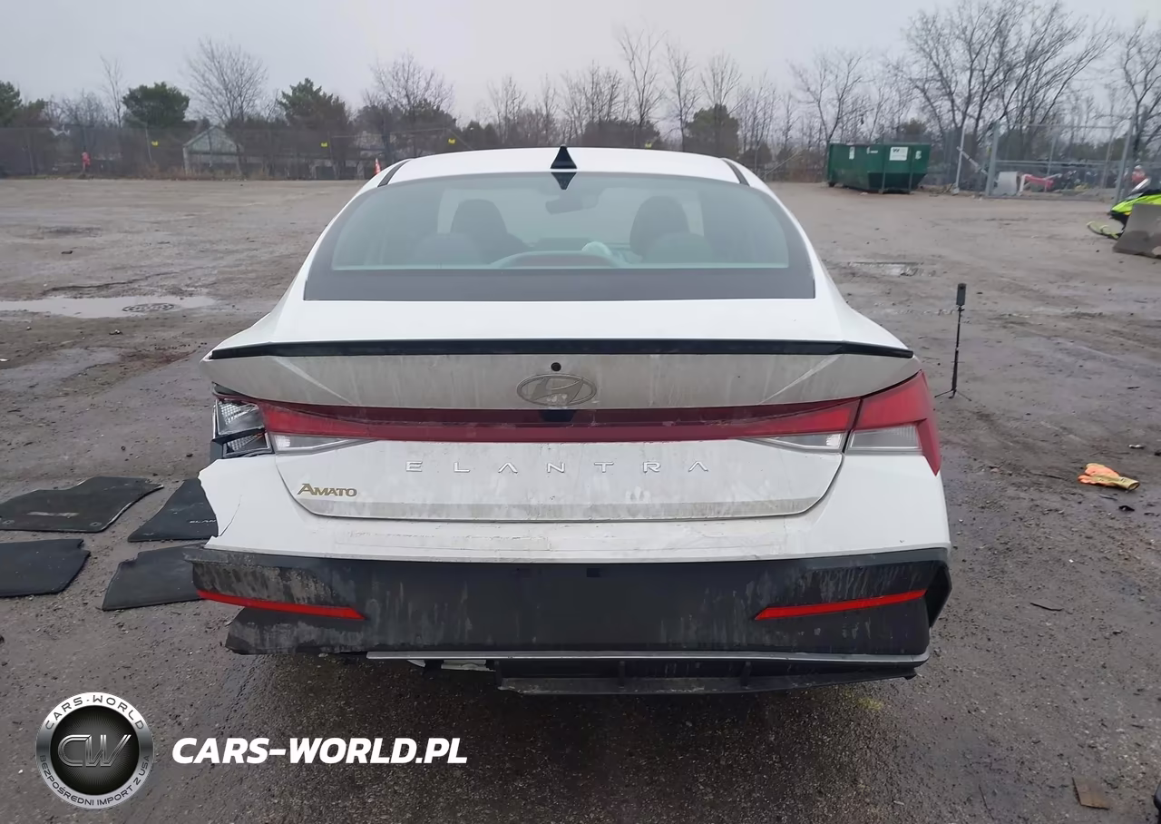 2025 Hyundai Elantra Sel Sport VIN:KMHLM4DGXSU994244 - 17