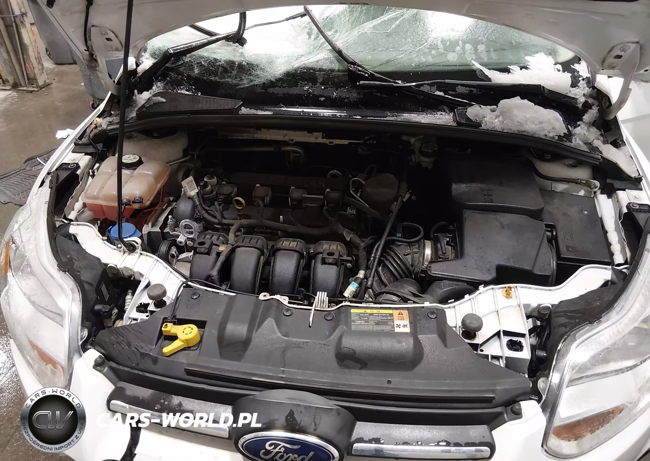 2013 Ford Focus Se VIN:1FADP3K25DL336217 - 10
