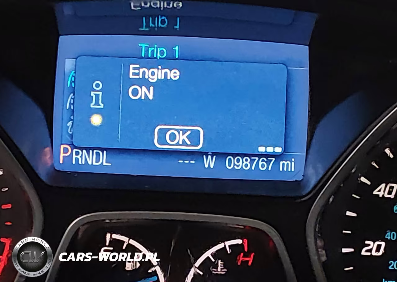 2013 Ford Focus Se VIN:1FADP3K25DL336217 - 15