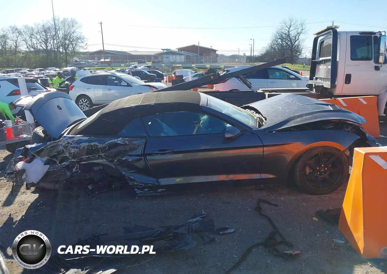 2018 Ford Mustang Ecoboost Premium VIN:1FATP8UH7J5124154 - 13