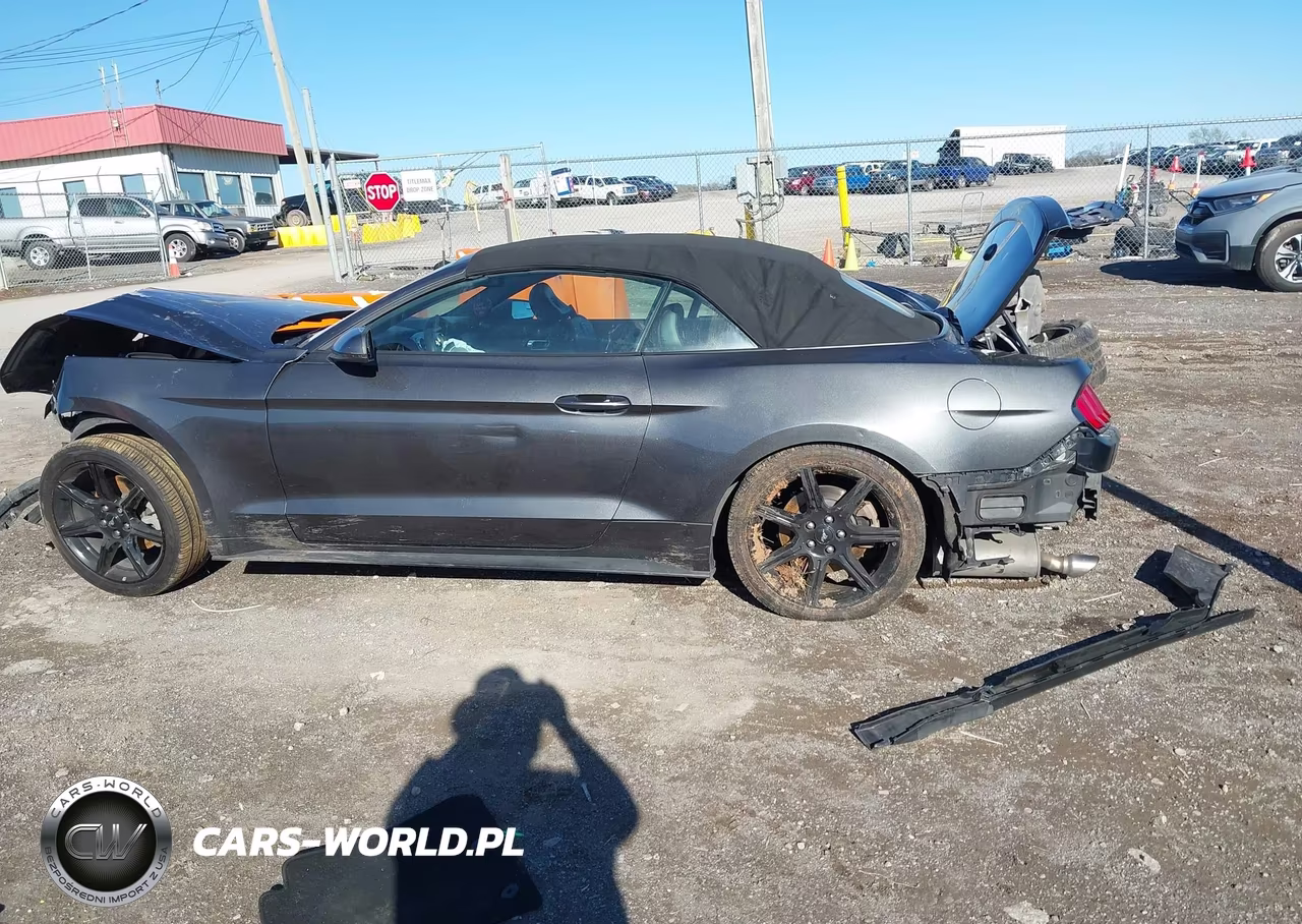 2018 Ford Mustang Ecoboost Premium VIN:1FATP8UH7J5124154 - 14