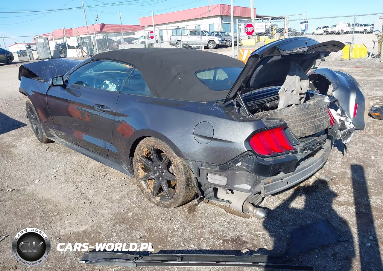 2018 Ford Mustang Ecoboost Premium VIN:1FATP8UH7J5124154 - 3