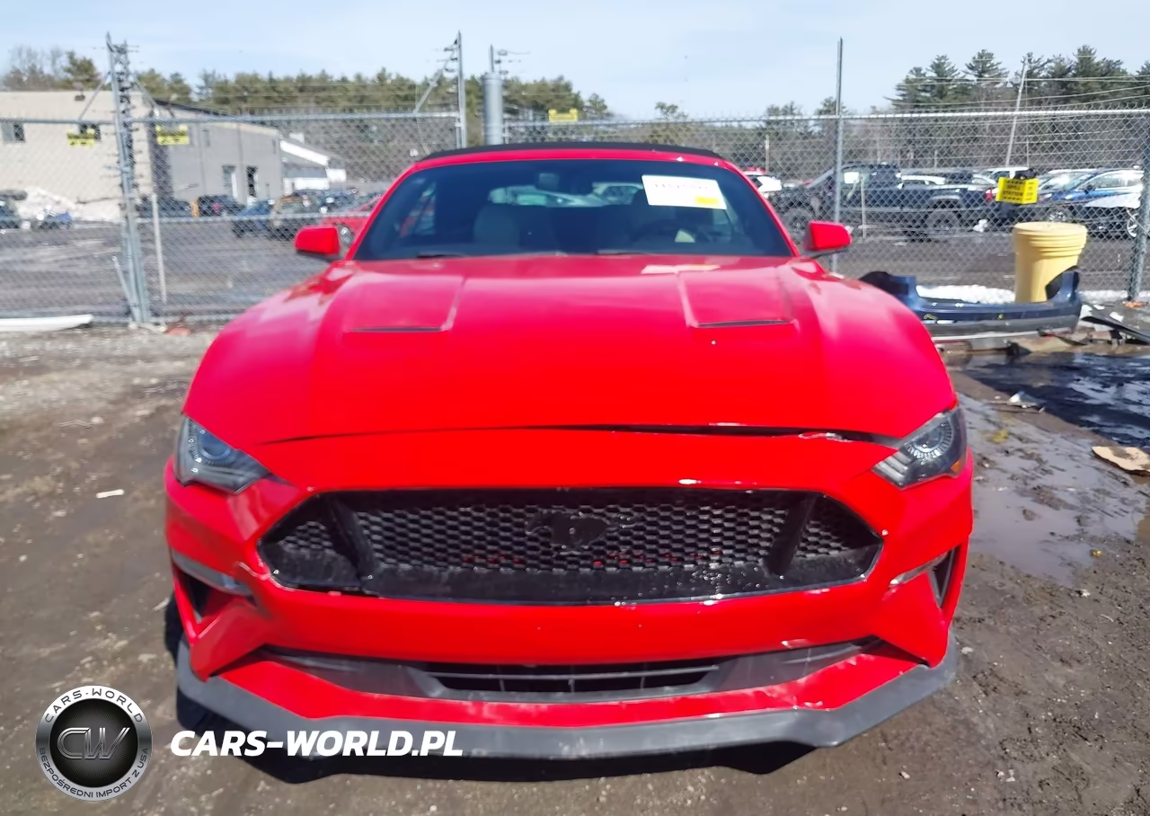 2020 Ford Mustang Ecoboost Premium VIN:1FATP8UH2L5119673 - 12