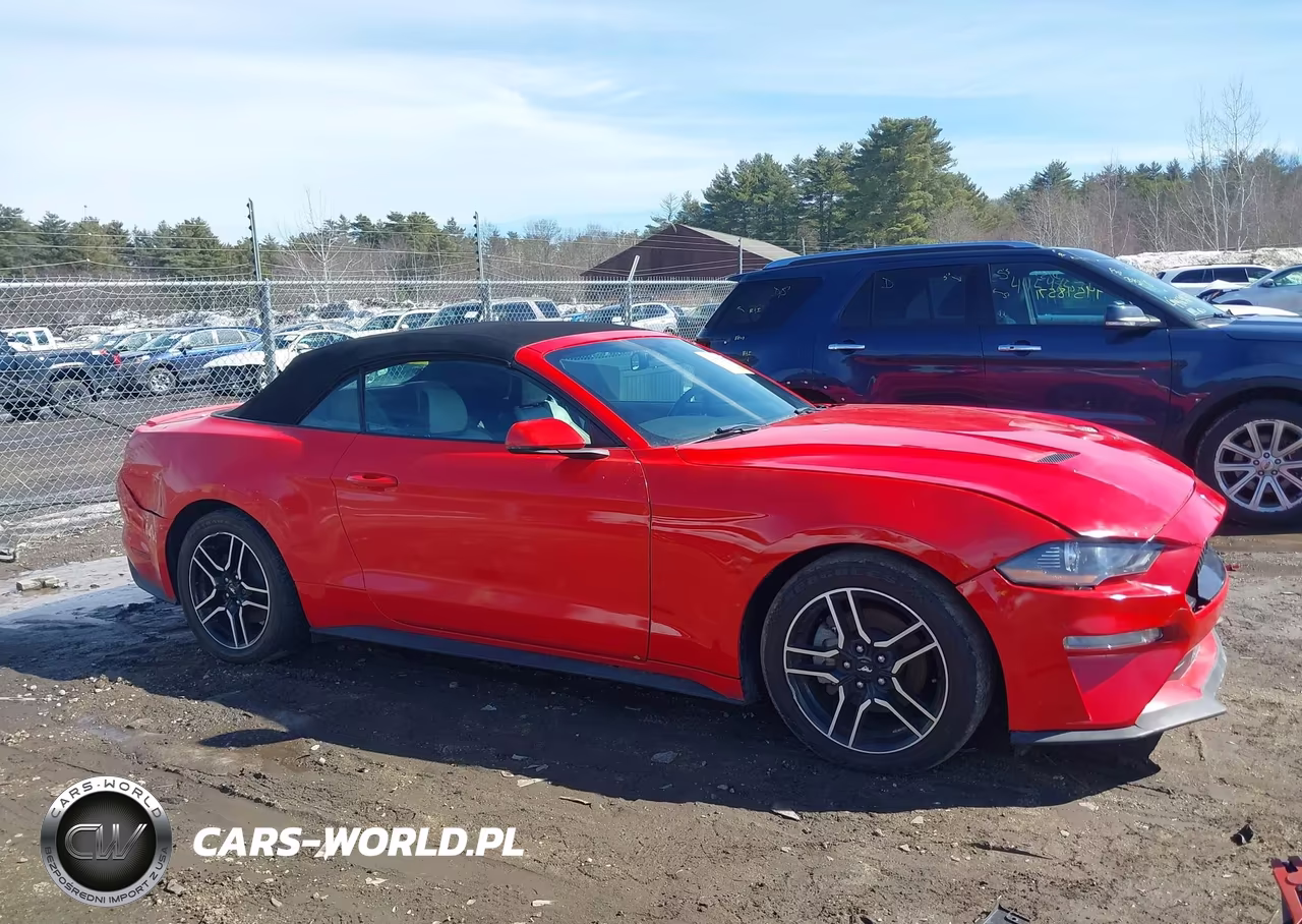 2020 Ford Mustang Ecoboost Premium VIN:1FATP8UH2L5119673 - 13