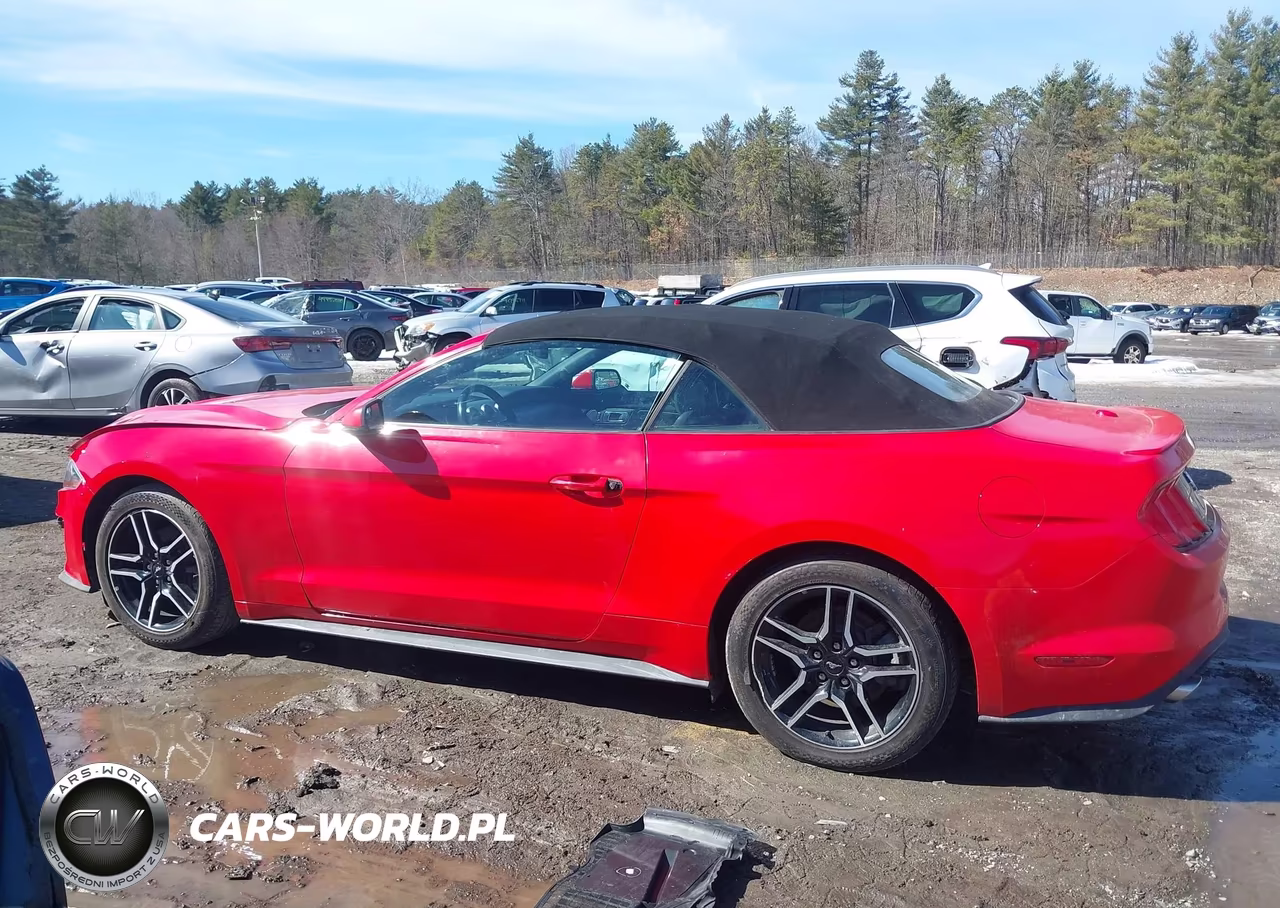 2020 Ford Mustang Ecoboost Premium VIN:1FATP8UH2L5119673 - 14