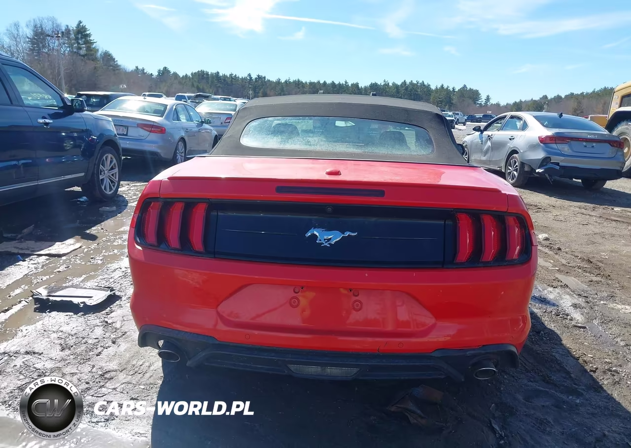 2020 Ford Mustang Ecoboost Premium VIN:1FATP8UH2L5119673 - 16