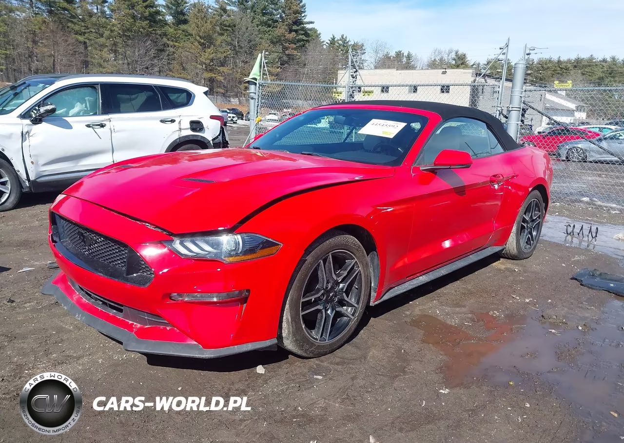 2020 Ford Mustang Ecoboost Premium VIN:1FATP8UH2L5119673 - 2