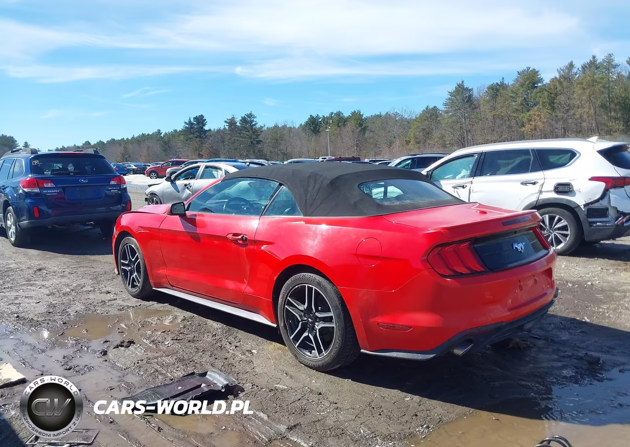 2020 Ford Mustang Ecoboost Premium VIN:1FATP8UH2L5119673 - 3